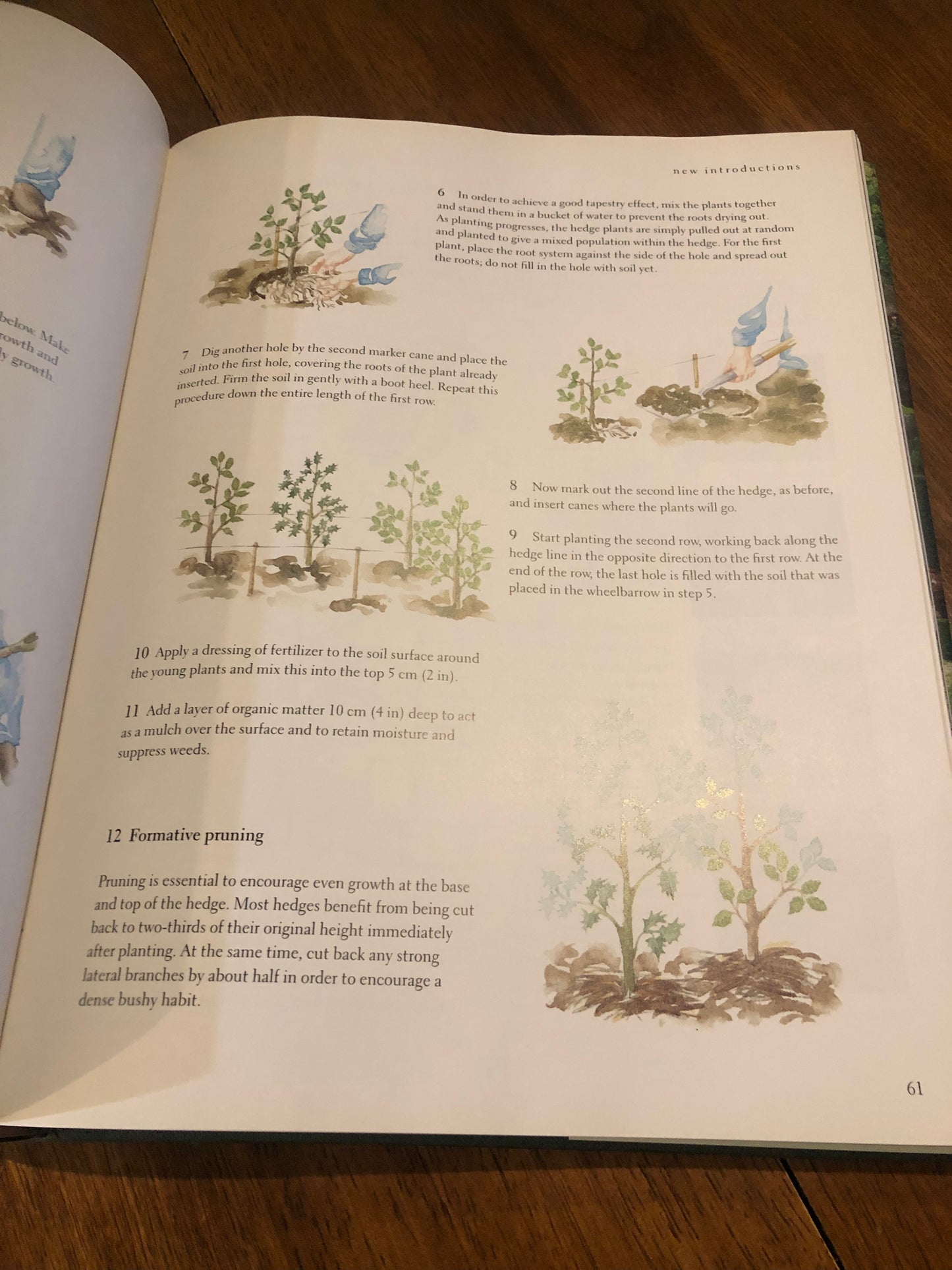 A Year In The Garden
