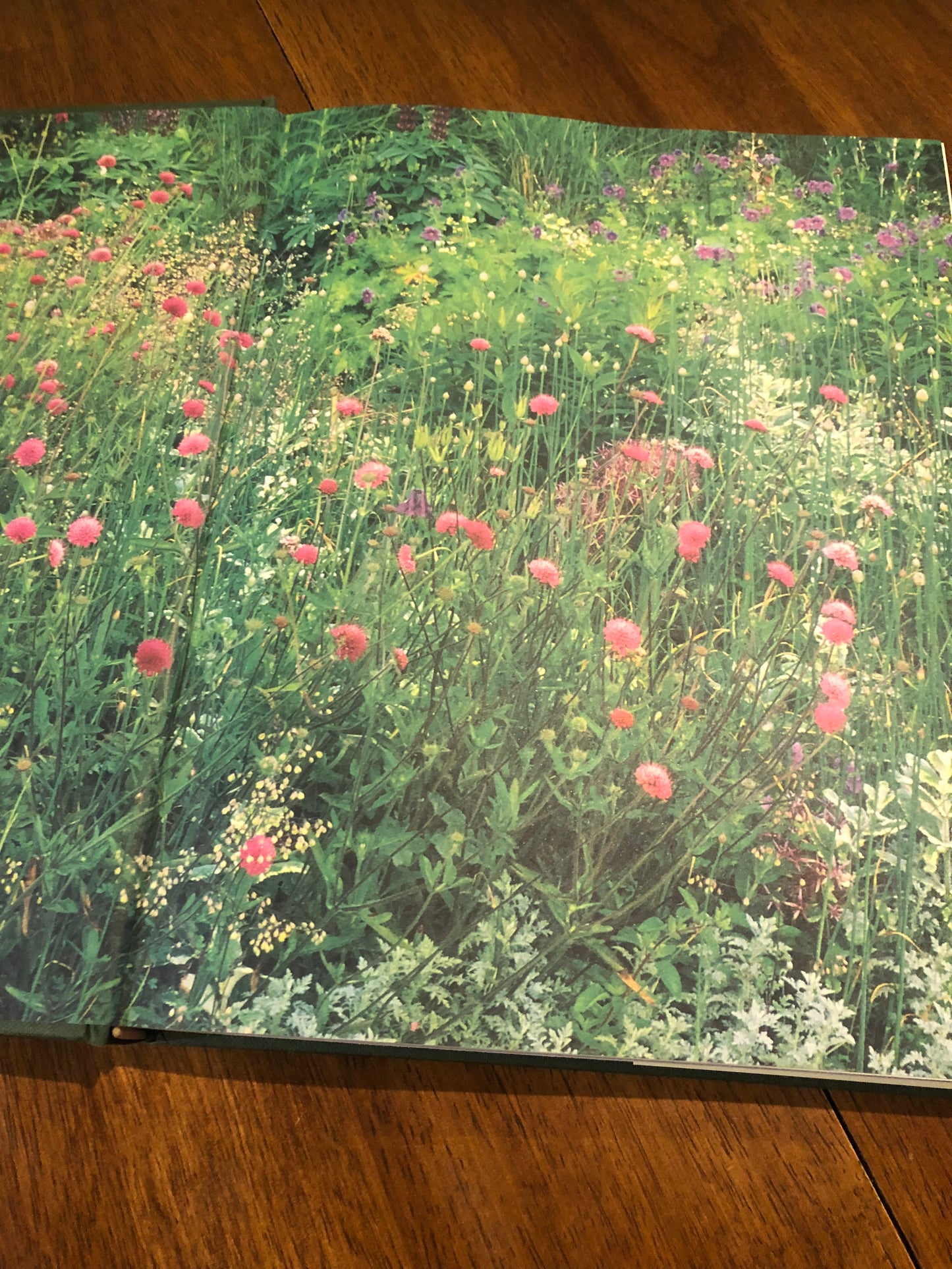 A Year In The Garden