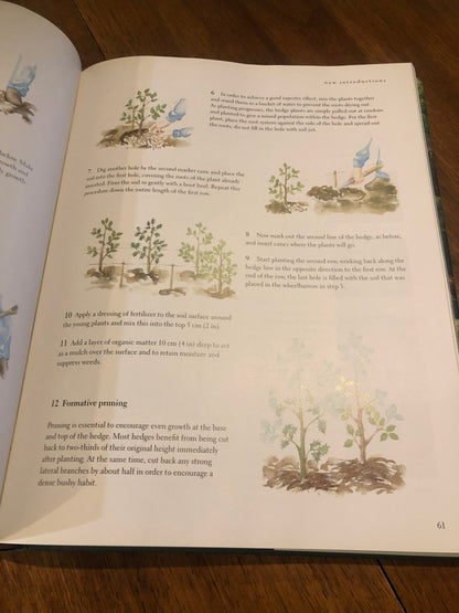 A Year In The Garden